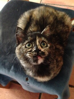 Sofía García Díaz