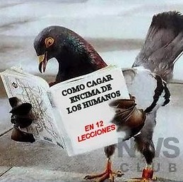 daniel lezcano