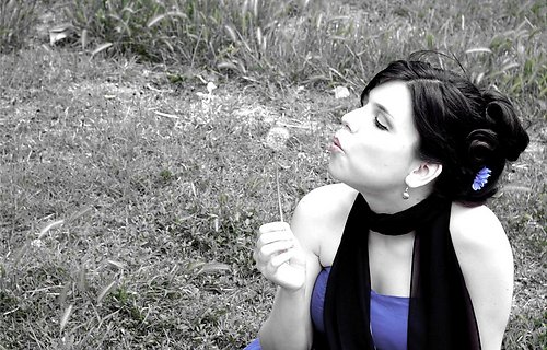 Sara F