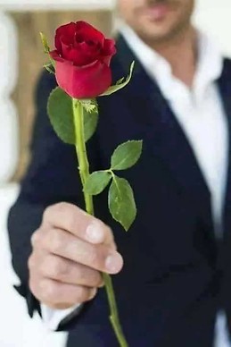 Arif Sheikh