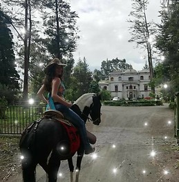Marisol Asensio Arredondo