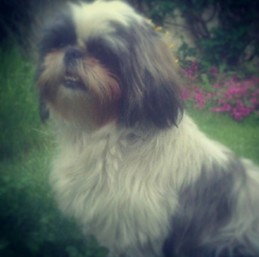 Pablo Torres Aragón