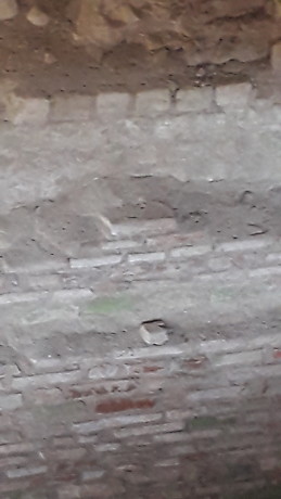 Gregoire Levavasseur