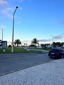 Daniela Botelho Pechorro