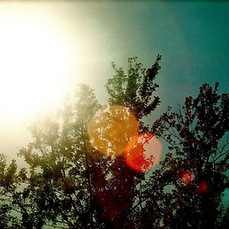 Daniela Alvarez Lleras