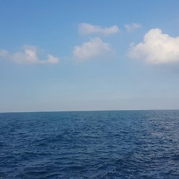 Elkhidir Abdelrahman