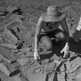 Maria Helena Barbosa