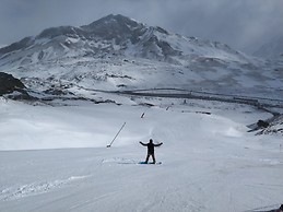 Julen Peral Arrillaga