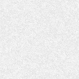 Rodrigo Salas Izquierdo