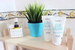 Bed in a 8 female dorm - Shared WCs