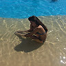 Anna Basarrate