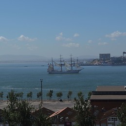 Isabel Moisão Lopes