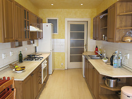 Big room for rent in popular area of Prague