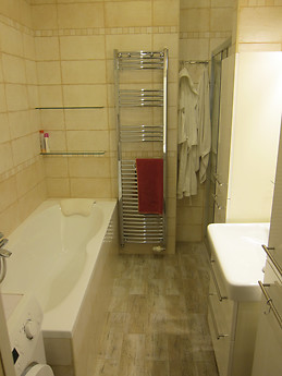 Big room for rent in popular area of Prague