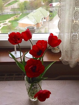 Bright and Cosy room in a calm area in the South of Moscow