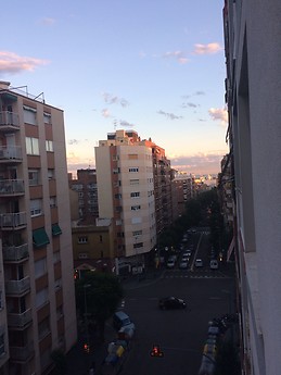 Bright shared apartment with really good vibes!