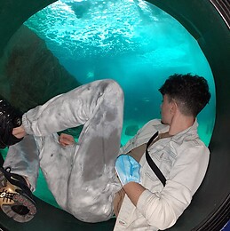 Darío Martínez Zerourou