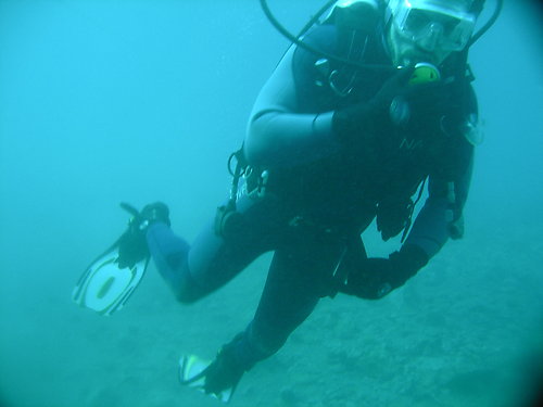 Alejandro Saavedra