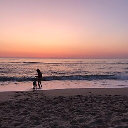 Maria Sebastian Masegosa