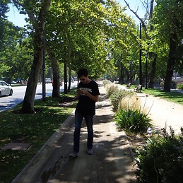 Francisco Álvez Francese