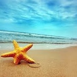 MERCEDES AGUADO MARTIN