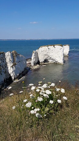 Julia Vázquez Vázquez