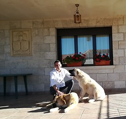 Víctor Castrillo Arenas