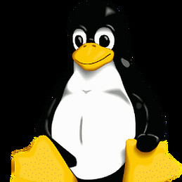 Jose Javier Lopez Cascales