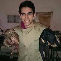 Eloy Galiano