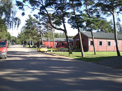 Igo Galama