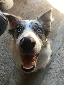 Ibon Crespillo Dos Santos