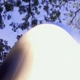 MARIA JULIANA RESTREPO VEGA