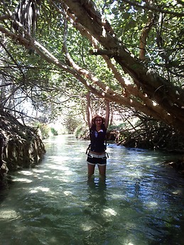 Anna Hollergschwandtner