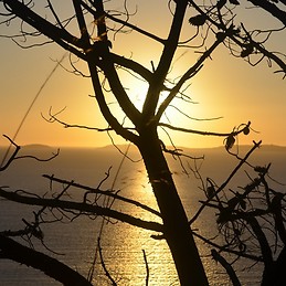 Monica Pintos Alfaya