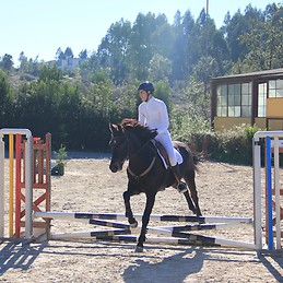 Pedro Miguel Teixeira