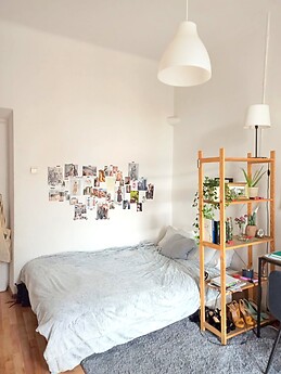 Sunny cozy studio for rent in Zwierzyniec (8)