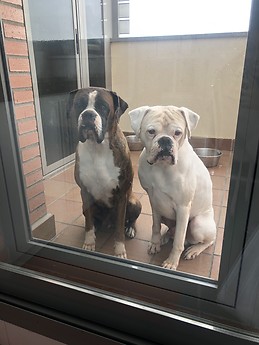 Beatriz Ruiz Sánchez