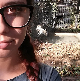 Una pendolare lettrice .