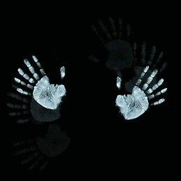 Алекс Казанцев