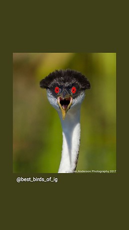 Jacobo Souto Soneira