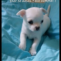 Jose Miguel Garcia Aguilar