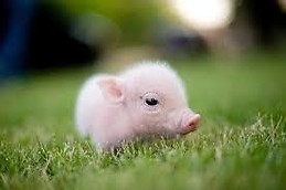 Marie-Emmanuella Ventura