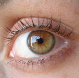 Jezabel Valdivia Sanchez