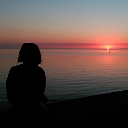 Maria Ginestar Ferrer