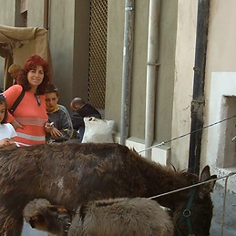 Aurelia porras garcia