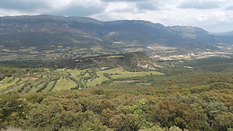 Mercè Martínez
