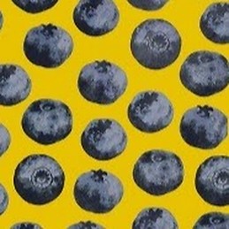 célia Charkaoui-sedille