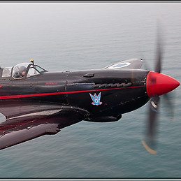 יועד אור וולפסטל