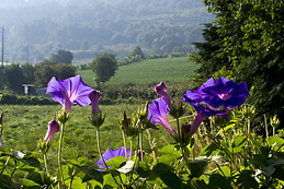 Casa rústica inteira