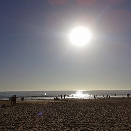 M Jose  Perez Vergara